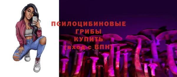 СК Алексеевка
