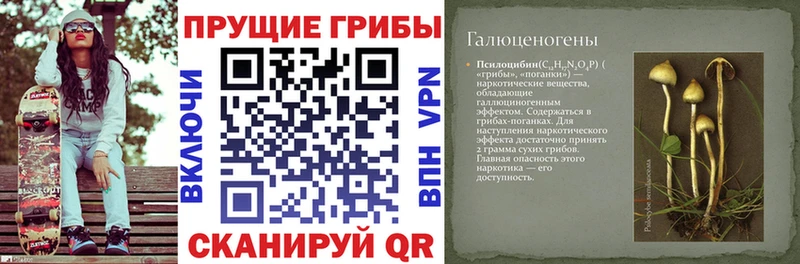 Галлюциногенные грибы MAGIC MUSHROOMS  Карачаевск 